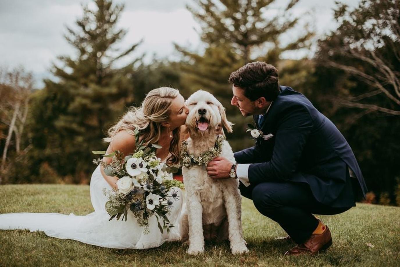 Including Your Furry Friend: Things to Consider When Eloping with Pets